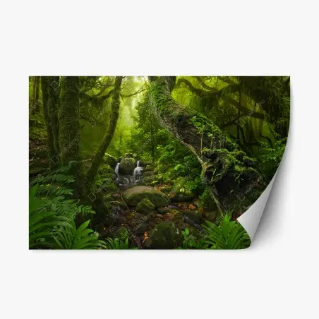Pegatina reposicionable bosque místico con arroyo y musgo – Pixers®