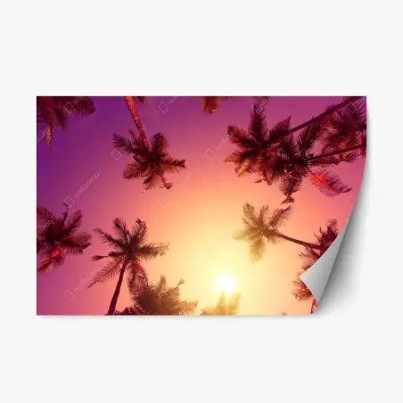 Pegatina reposicionable atardecer tropical entre palmeras – Pixers®