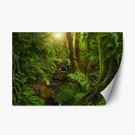 Pegatina reposicionable paisaje de bosque místico al amanecer – Pixers®