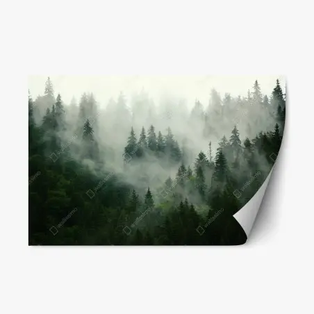 Pegatina reposicionable bosque envuelto en niebla – Pixers®