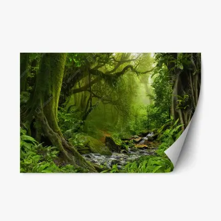 Pegatina reposicionable paisaje de bosque tropical con arroyo – Pixers®