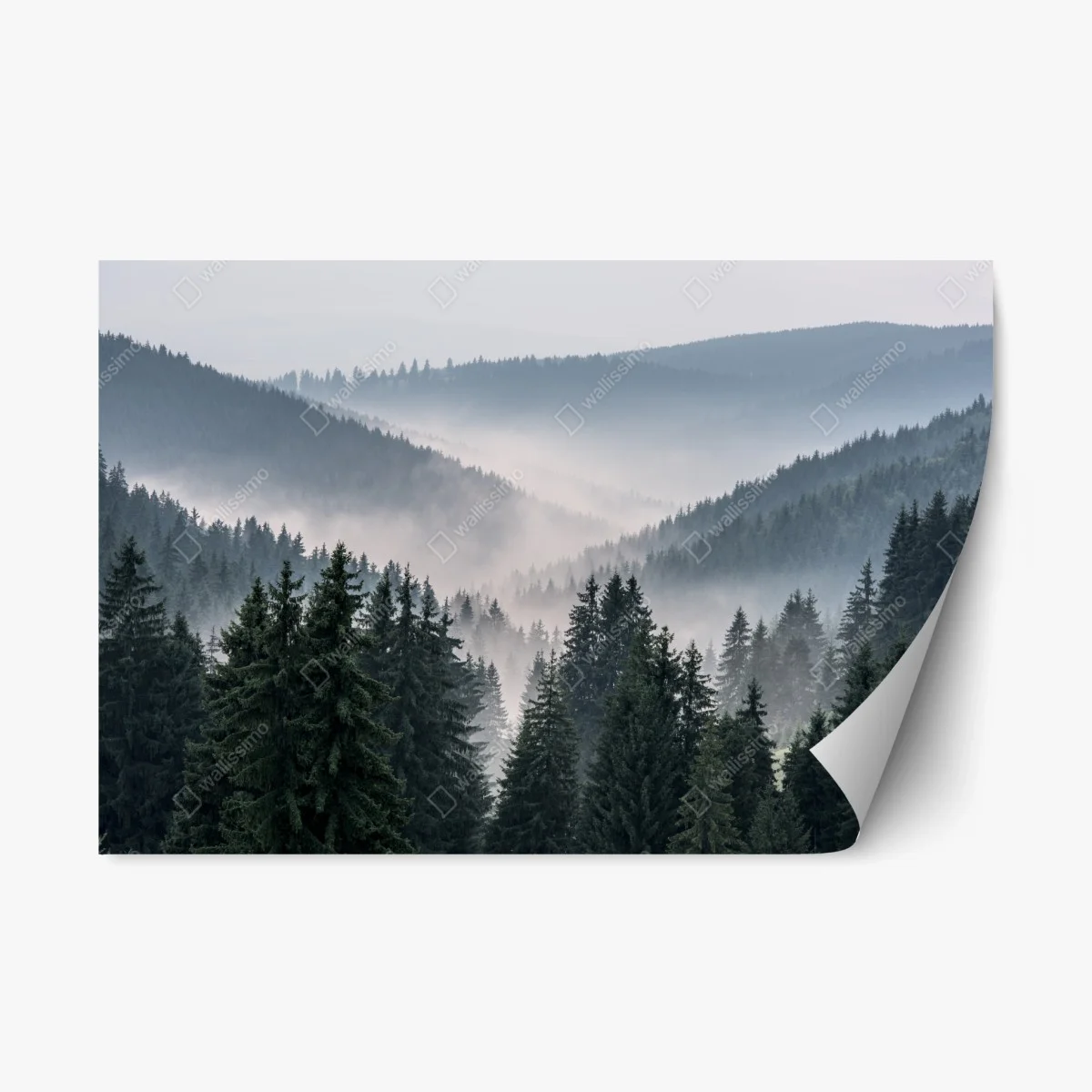 Pegatina reposicionable valle brumoso de pinos en capas – Pixers® Pegatina reposicionable valle brumoso de pinos en capas – Pixers®