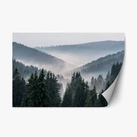 Pegatina reposicionable valle brumoso de pinos en capas – Pixers®