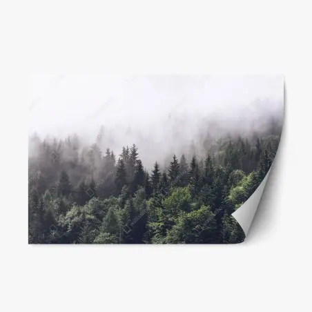 Pegatina reposicionable bosque montañoso envuelto en niebla – Pixers®