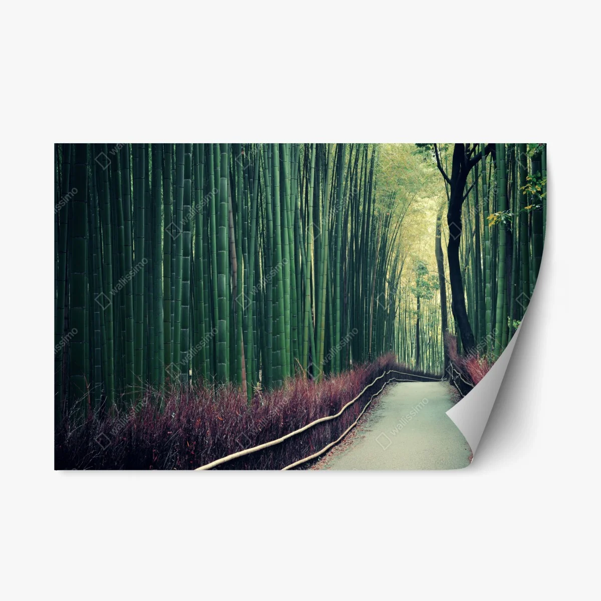 Pegatina reposicionable paseo sereno entre bambúes en Arashiyama, Kyoto – Pixers® Pegatina reposicionable paseo sereno entre bambúes en Arashiyama, Kyoto – Pixers®
