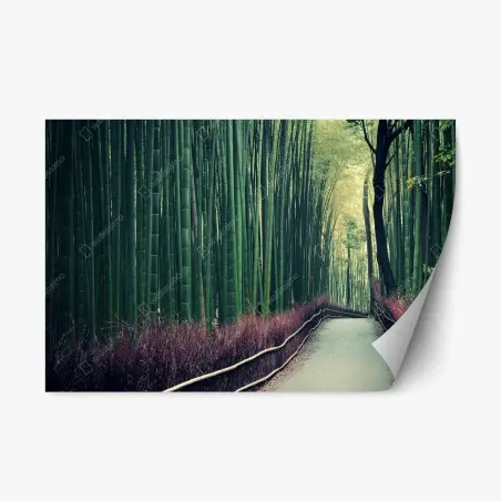 Pegatina reposicionable paseo sereno entre bambúes en Arashiyama, Kyoto – Pixers®