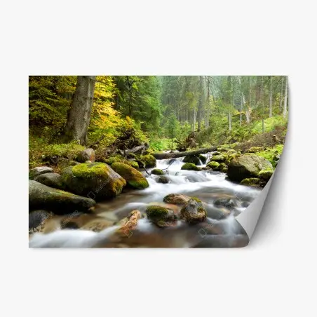 Pegatina reposicionable río sereno entre rocas musgosas – Pixers®