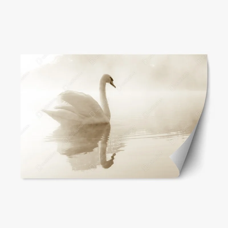 Pegatina reposicionable cisne en la niebla matinal