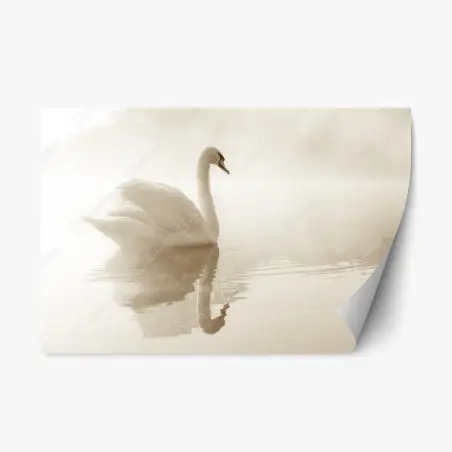 Pegatina reposicionable cisne en la niebla matinal – Pixers®