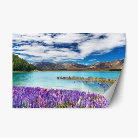 Pegatina reposicionable lupinos y lago turquesa en Lake Tekapo – Pixers®