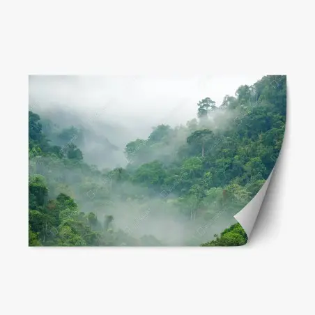 Pegatina reposicionable niebla matinal en el bosque tropical de Kaeng Krachan – Pixers®