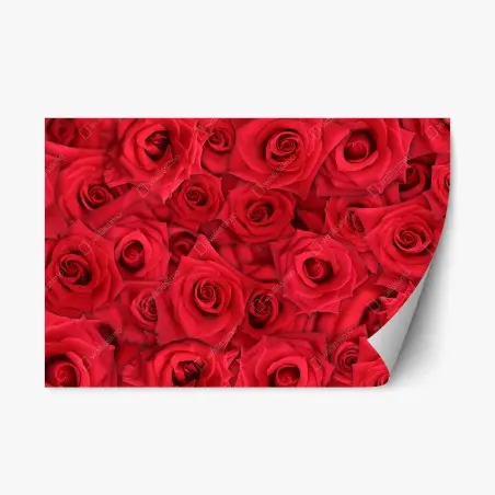 Pegatina reposicionable abundancia de rosas rojas – Pixers®