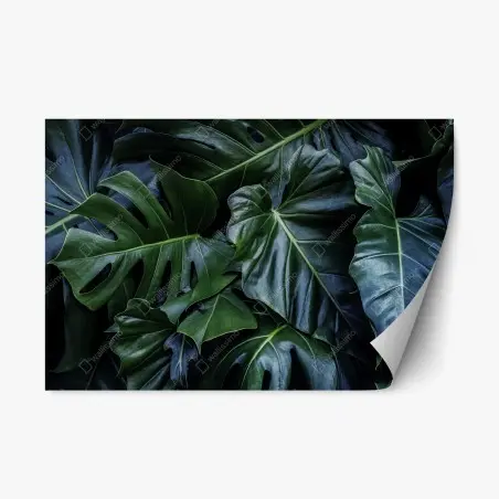 Pegatina reposicionable follaje tropical en tonos verdes profundos – Pixers®