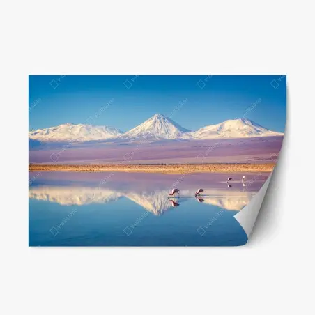 Pegatina reposicionable reflejos del volcán Licancabur en la laguna Chaxa – Pixers®