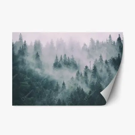 Pegatina reposicionable bosque en la niebla, calma natural – Pixers®