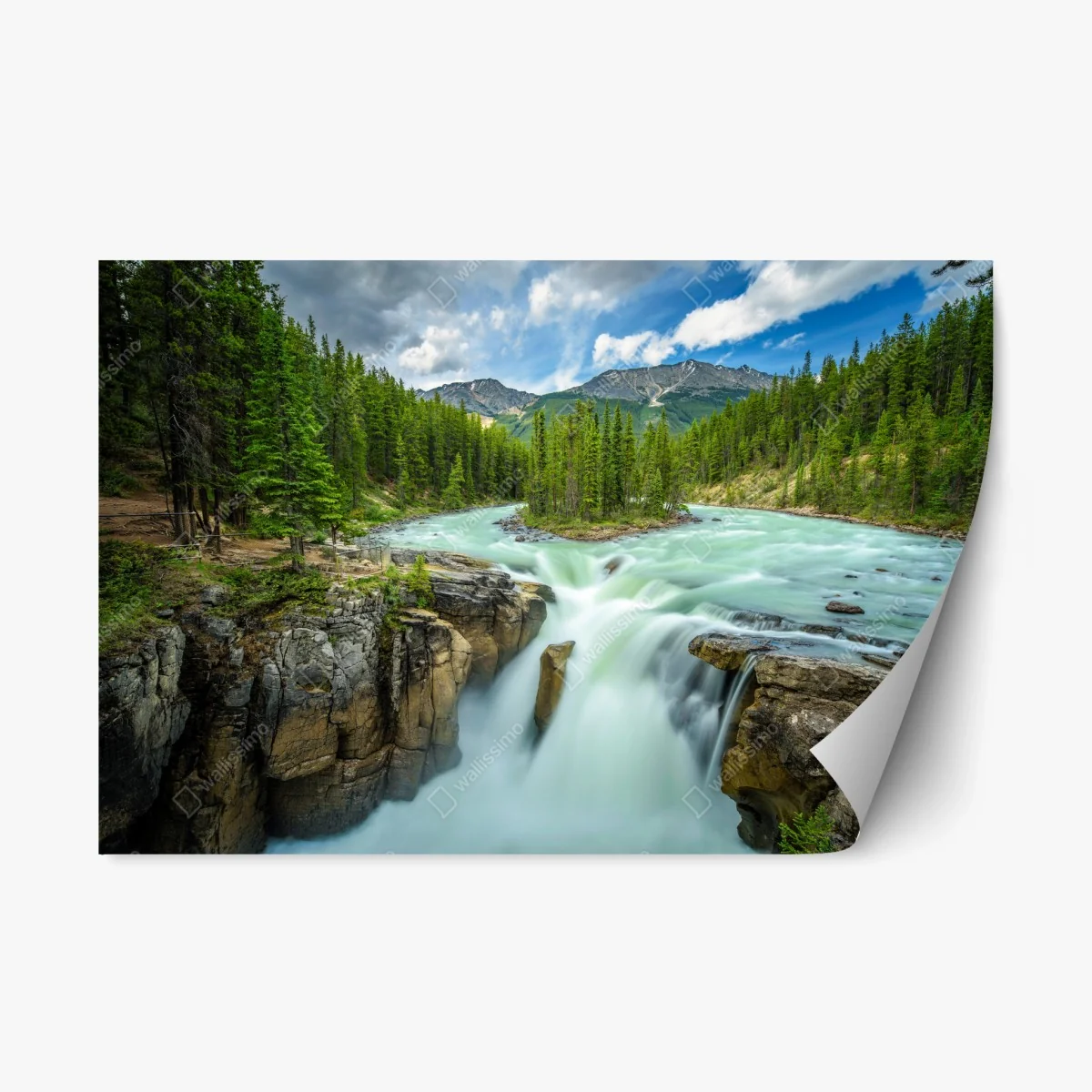 Pegatina reposicionable catarata Upper Sunwapta en Jasper National Park – Pixers® Pegatina reposicionable catarata Upper Sunwapta en Jasper National Park – Pixers®