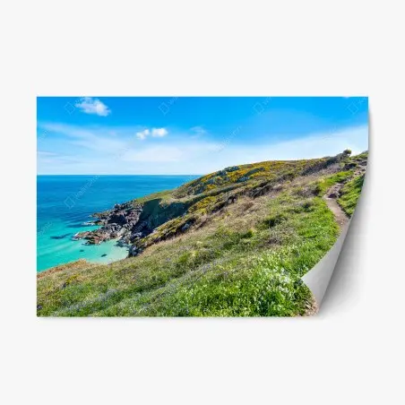 Pegatina reposicionable panorámica del sendero costero en Hor Point, St Ives, Cornwall – Pixers®