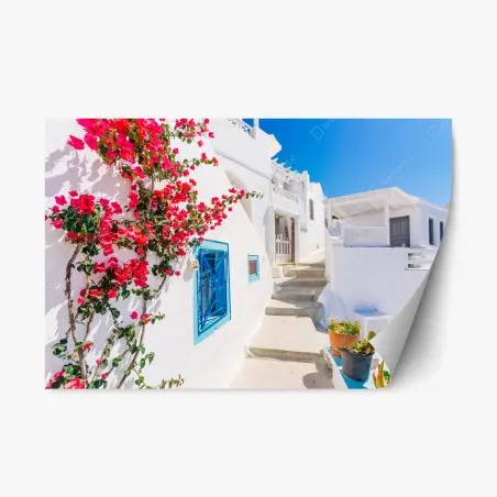 Pegatina reposicionable calle blanca de Santorini con buganvillas en flor – Pixers®