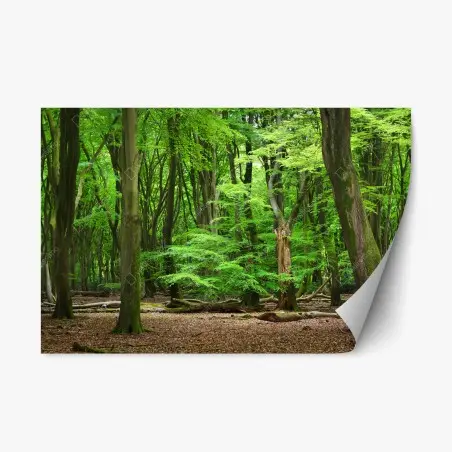 Pegatina reposicionable refugio verde en el bosque – Pixers®