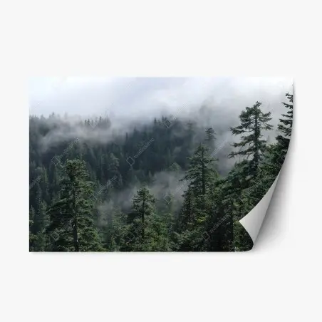 Pegatina reposicionable paisaje brumoso de Larch Mount, Oregon – Pixers®