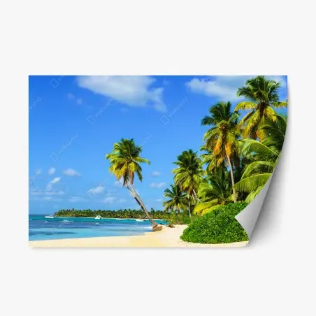 Pegatina reposicionable playa paradisíaca con palmeras y aguas turquesas – Pixers®