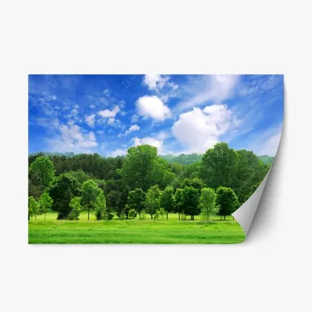 Pegatina reposicionable paisaje de bosque verde en verano – Pixers®