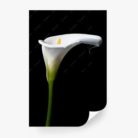 Fotomural cala blanca minimalista sobre fondo negro – Pixers®
