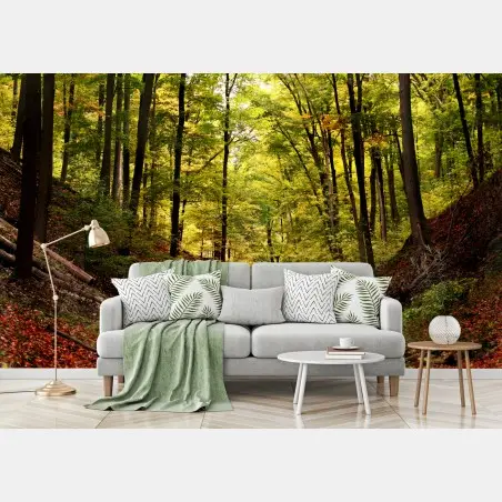 Fotomural sendero otoñal en el bosque – Pixers®