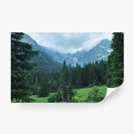 Fotomural valle montañoso entre pinos y niebla – Pixers®