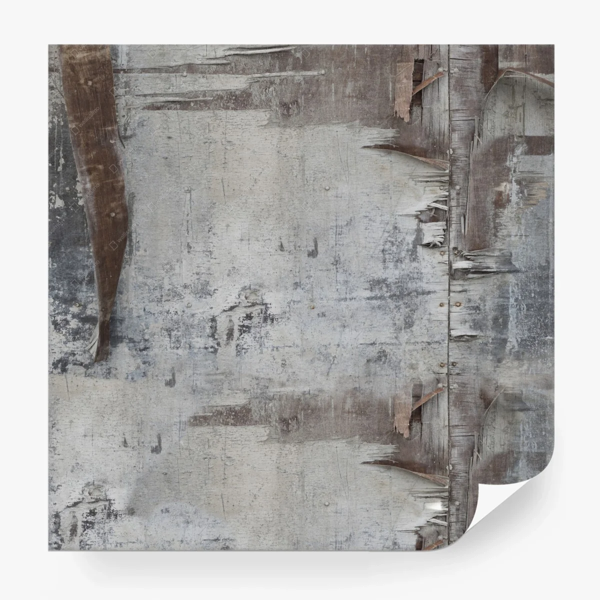 Fotomural textura rústica de madera envejecida – Pixers®