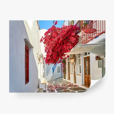 Fotomural rincón de buganvilla en calle blanca – Pixers®