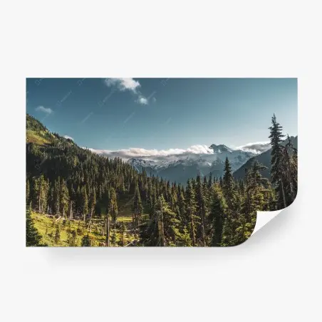 Fotomural paisaje alpino con bosque y picos nevados – Pixers®