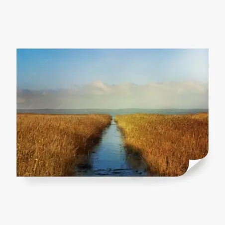 Fotomural canal entre juncos dorados – Pixers®