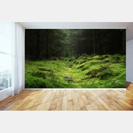 Fotomural sendero cubierto de musgo en bosque – Pixers®