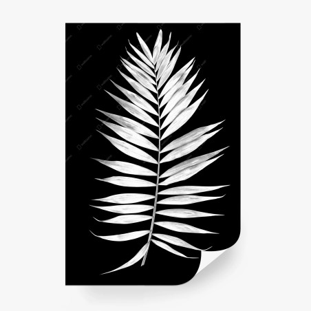 Fotomural hoja de palmera en contraste blanco y negro – Pixers®