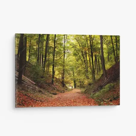 Cuadro en lienzo sendero otoñal en el bosque – Pixers®