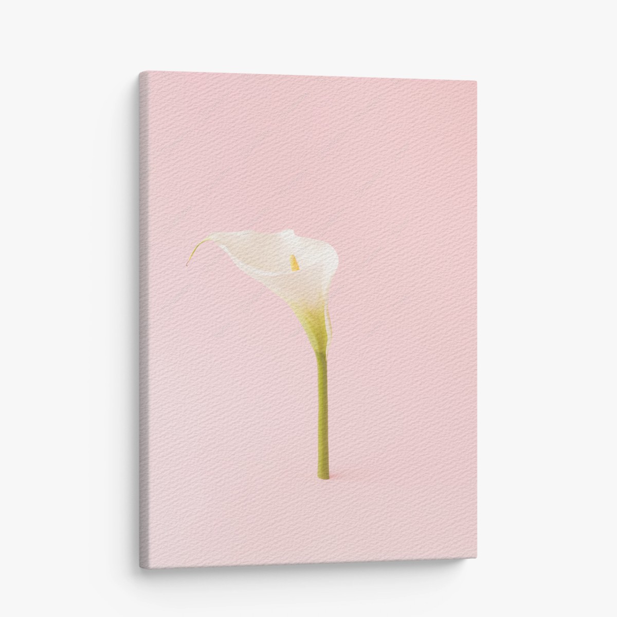 Cuadro en lienzo cala blanca minimalista sobre fondo rosa – Pixers®