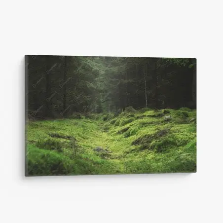 Cuadro en lienzo sendero cubierto de musgo en bosque – Pixers®