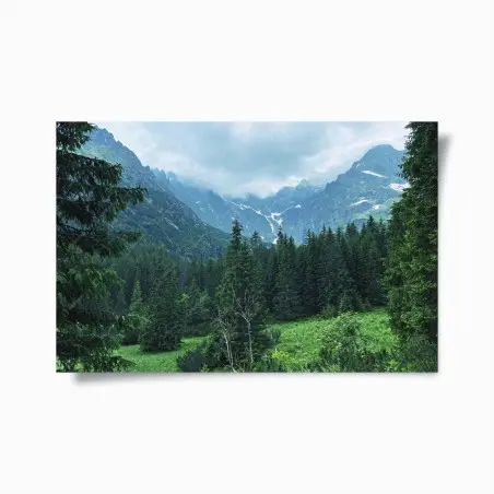 Póster valle montañoso entre pinos y niebla – Pixers®