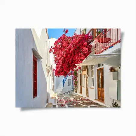 Póster rincón de buganvilla en calle blanca – Pixers®