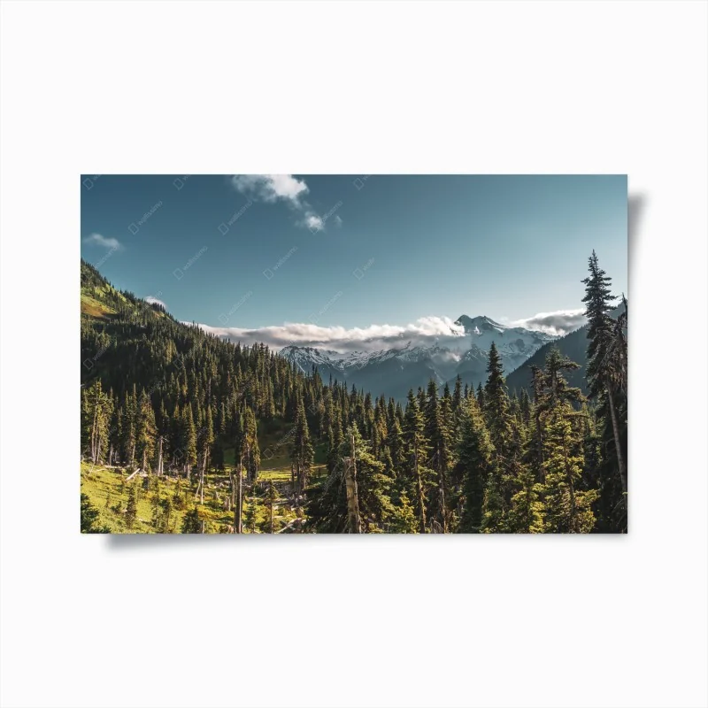 Póster paisaje alpino con bosque y picos nevados