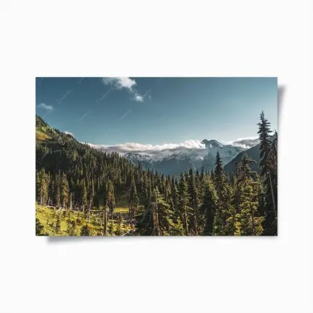 Póster paisaje alpino con bosque y picos nevados – Pixers®