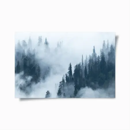Póster bosque de coníferas entre niebla – Pixers®