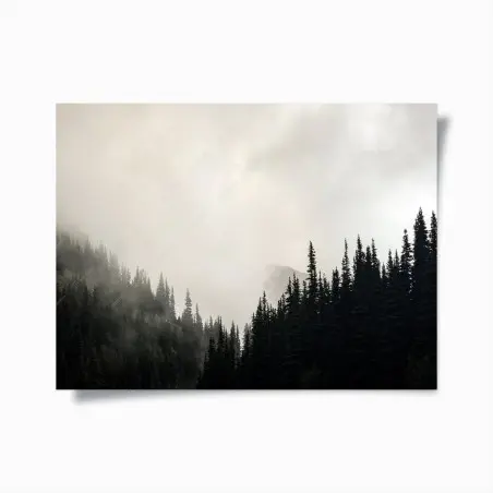 Póster bosque envuelto en niebla de tonos sobrios – Pixers®