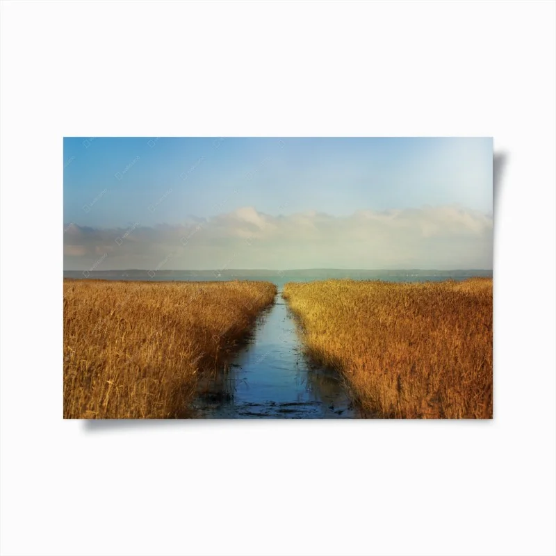 Póster canal entre juncos dorados