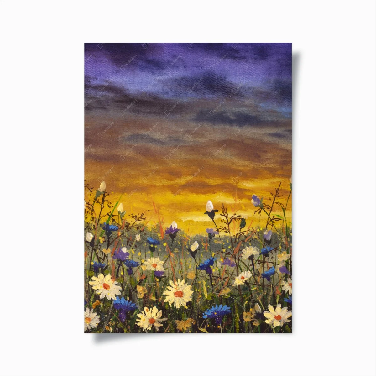 Póster atardecer en pradera de margaritas y acianos – Pixers® Póster atardecer en pradera de margaritas y acianos – Pixers®