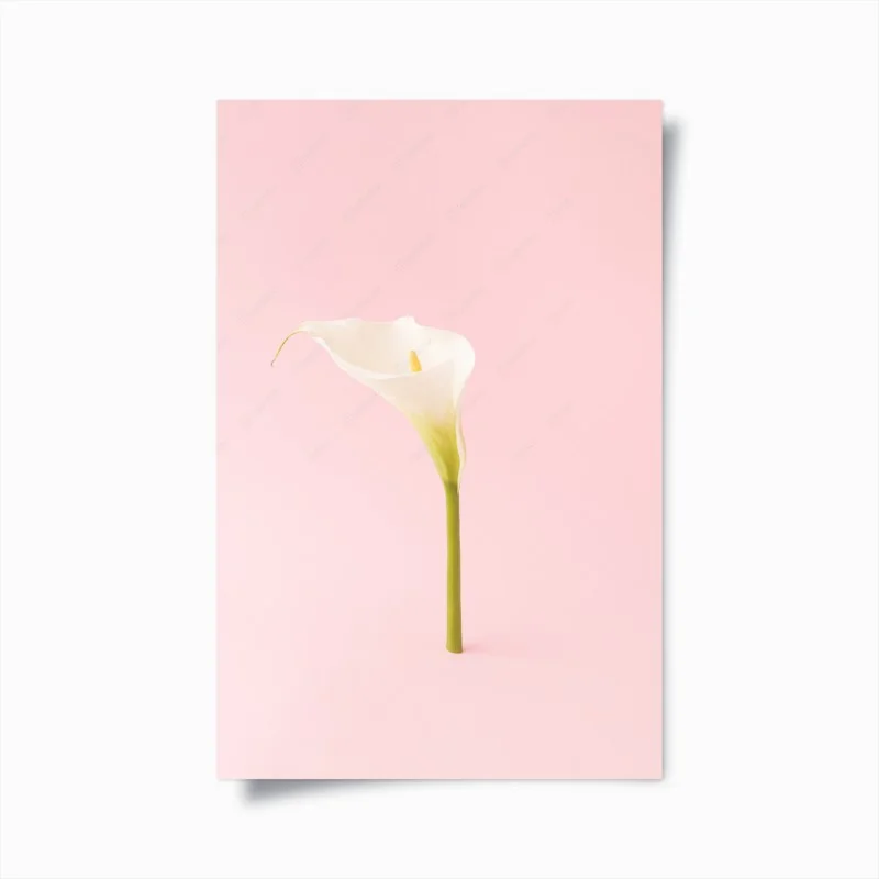 Póster cala blanca minimalista sobre fondo rosa