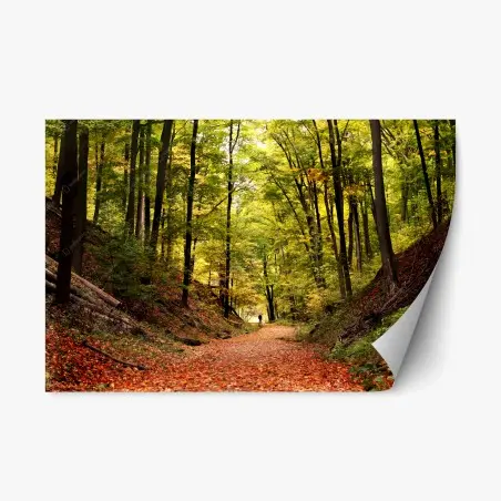 Pegatina reposicionable sendero otoñal en el bosque – Pixers®