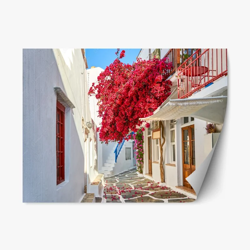 Pegatina reposicionable rincón de buganvilla en calle blanca