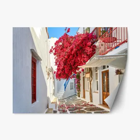 Pegatina reposicionable rincón de buganvilla en calle blanca – Pixers®